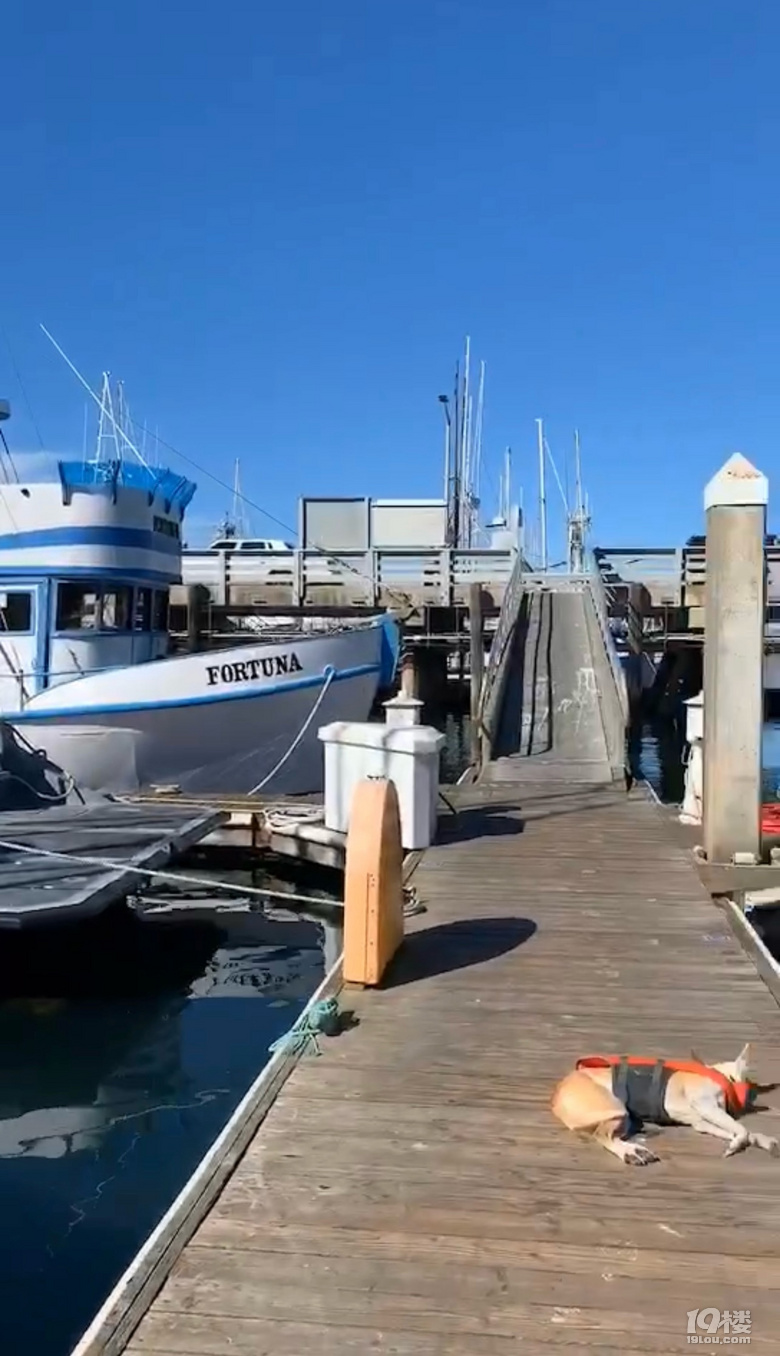 й¡Halfmoonbay°랳\