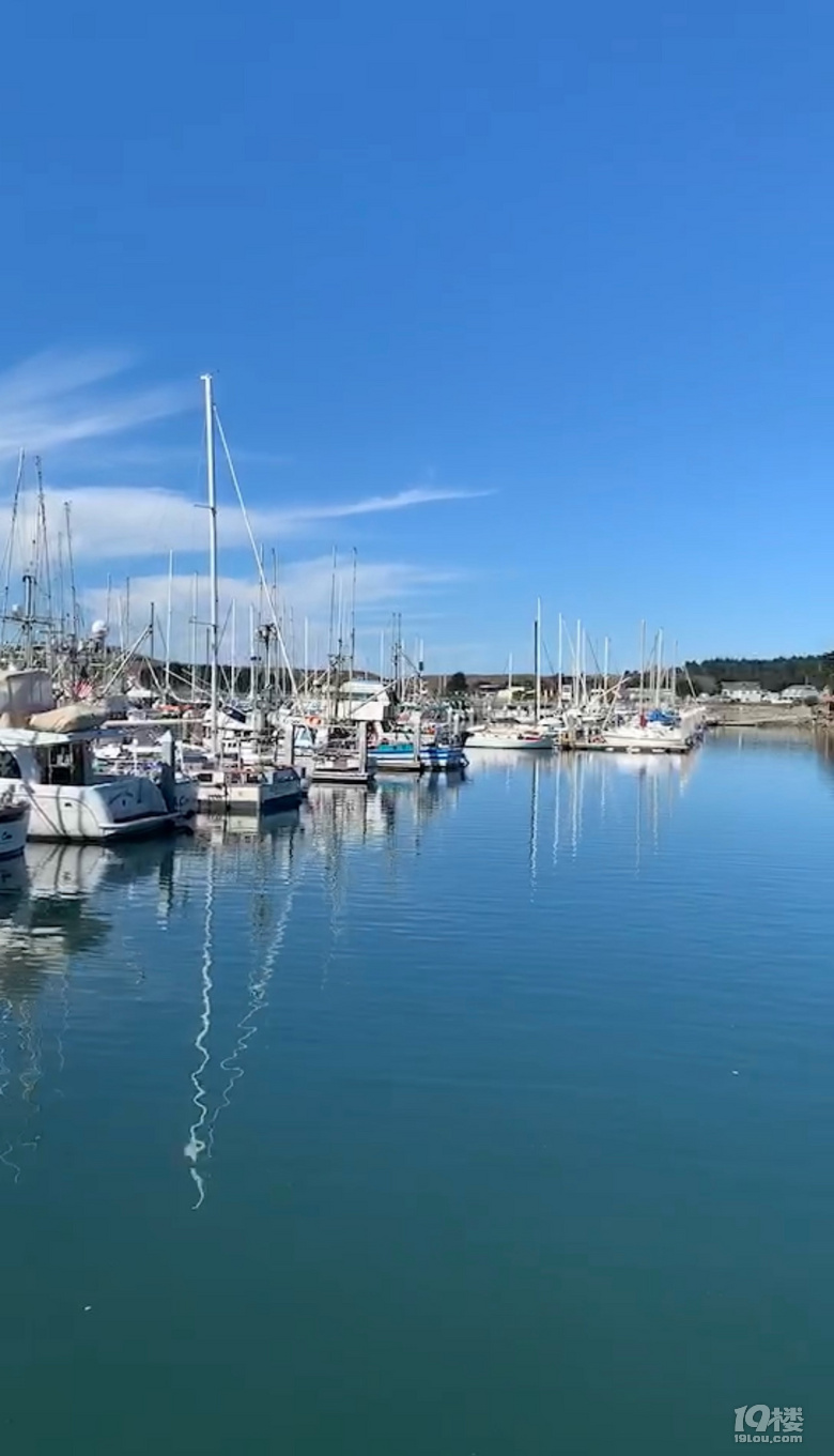 й¡Halfmoonbay°랳\