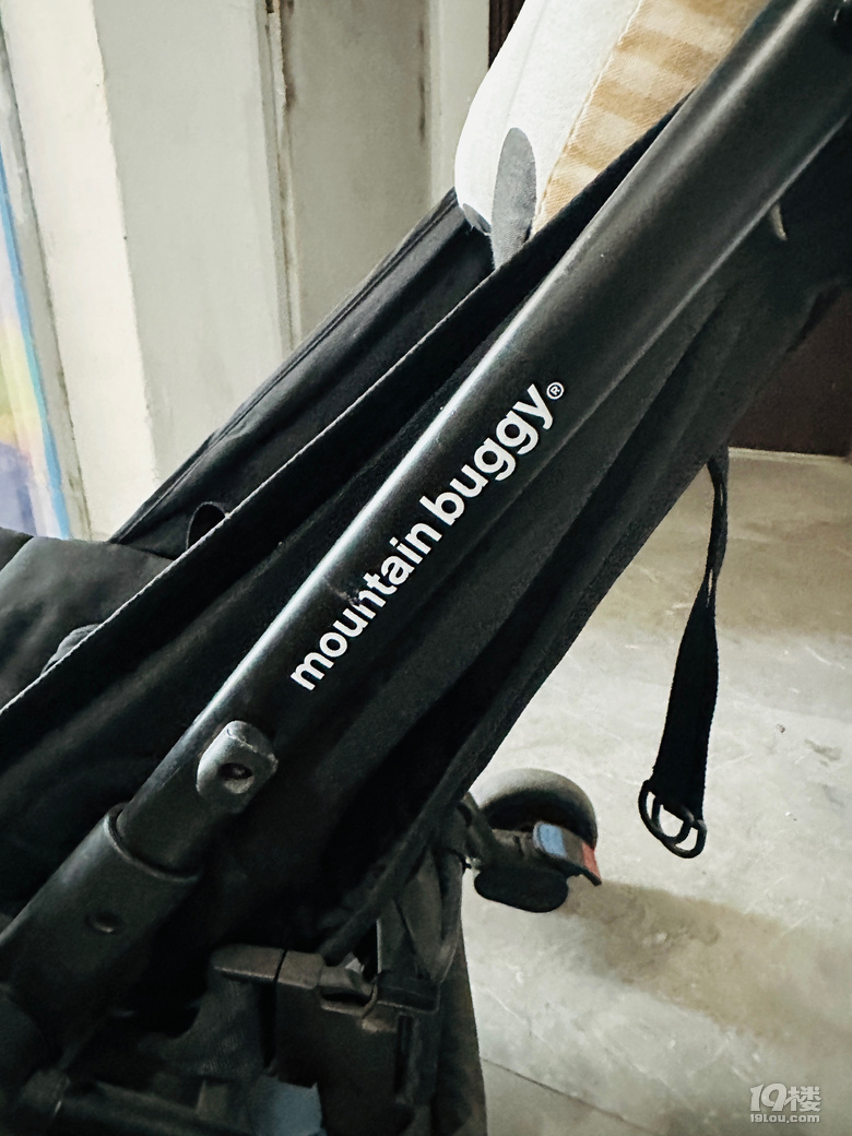 ۃͯMountain+Buggy܇