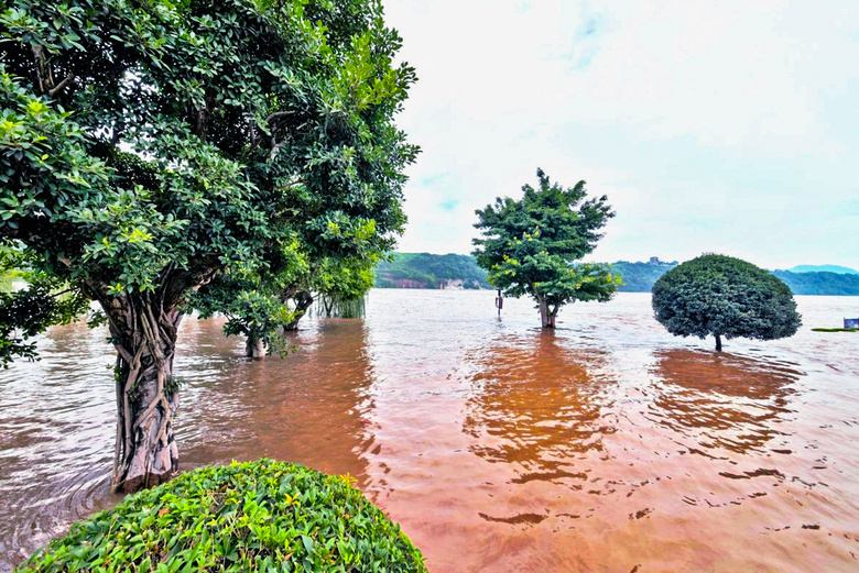 oݳf85-족ˮ(chung)¸ Ҳ̧;