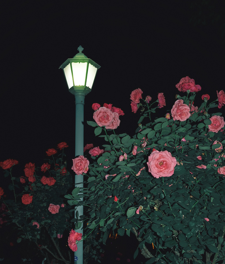 R@ҹ
