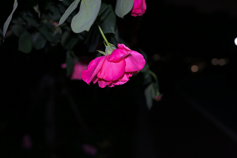 R@ҹ
