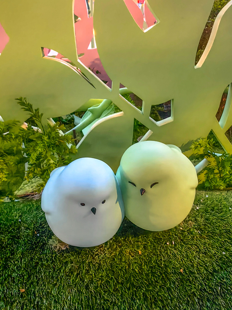 һȺཿ옷ġСBڽ̏BTښgӭeͣ