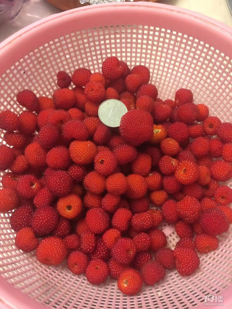 ຼHһҊɘݮ