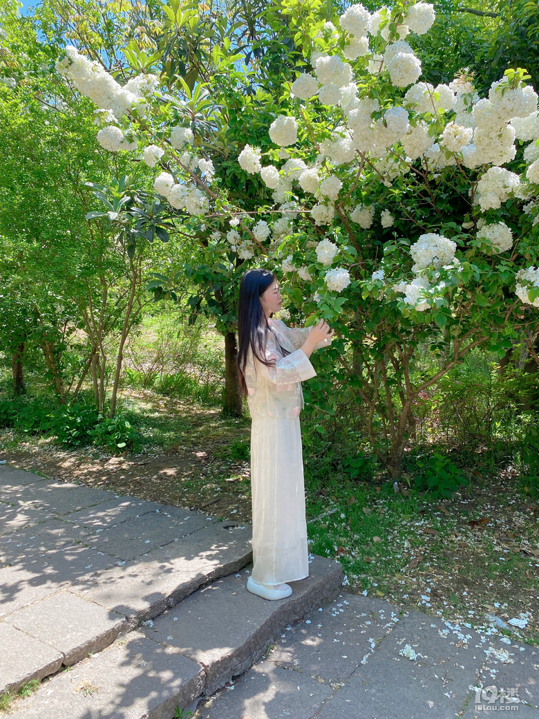 6年过去了，打开19楼看看有什么变化，才发现上一条有几个留言_图1