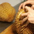 鿴ß