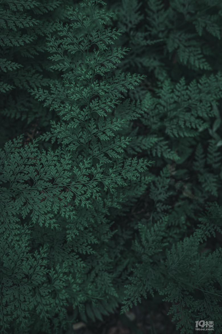 ͩ]ɽһ