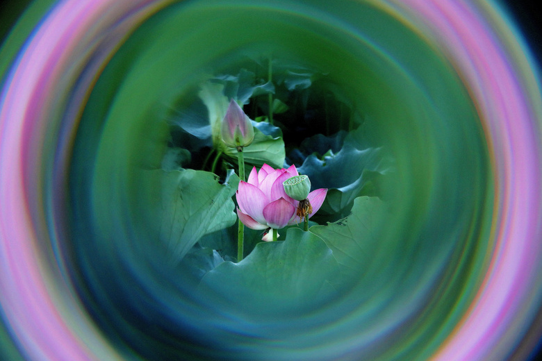 һӵĺ