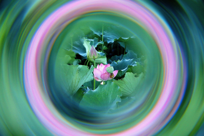 һӵĺ