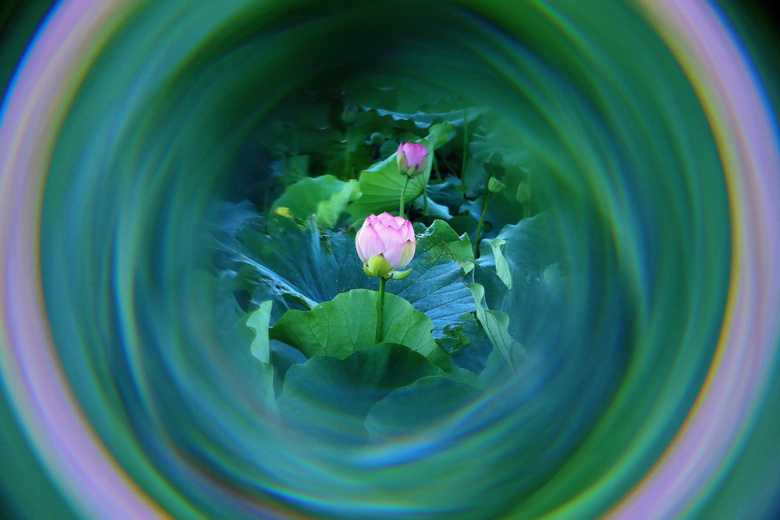 һӵĺ