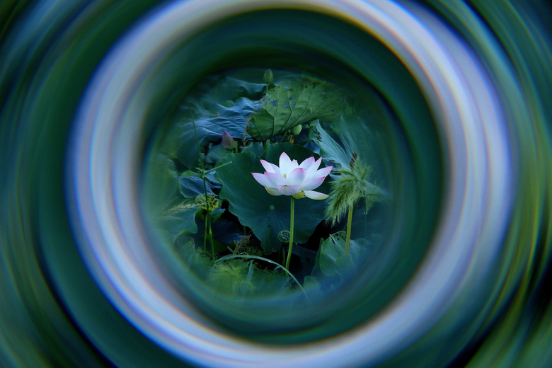 һӵĺ