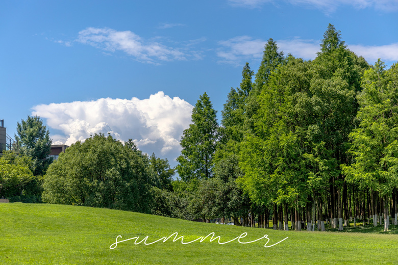 summer  