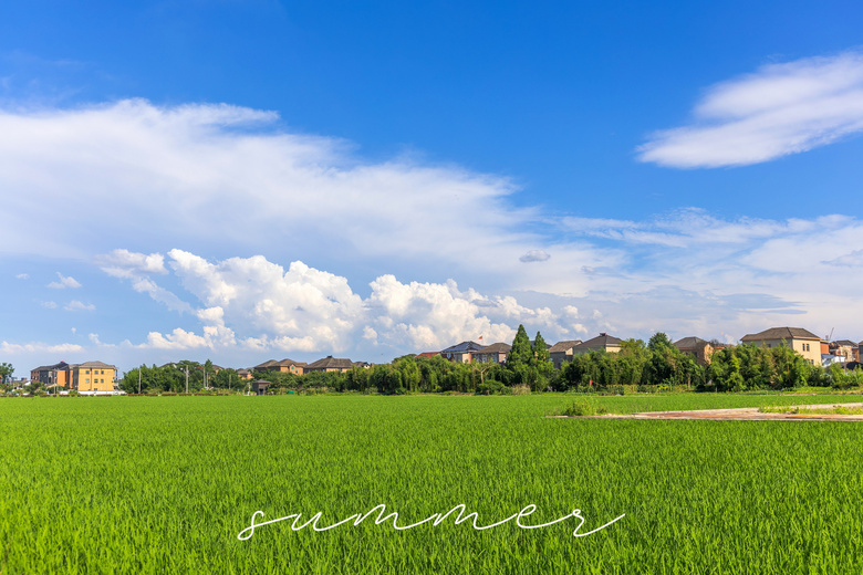summer  