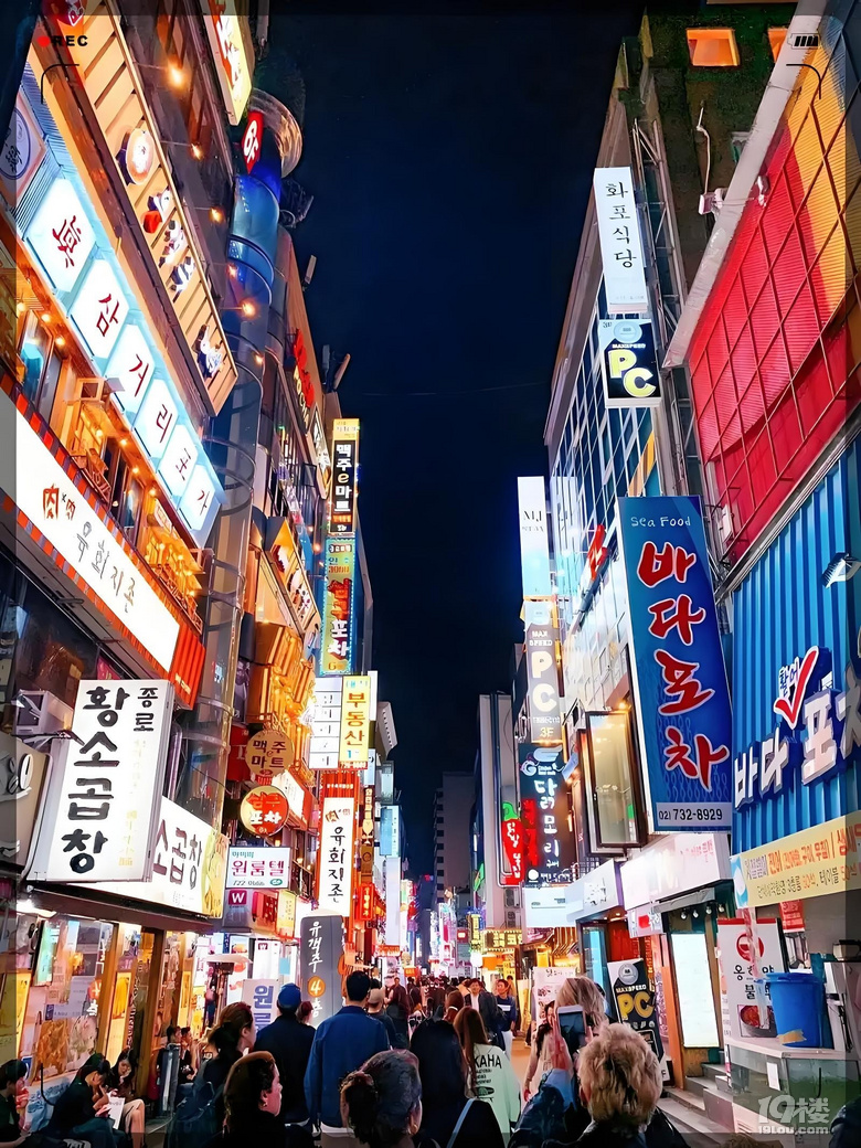 ٽMF(tun)ȥn(gu)
