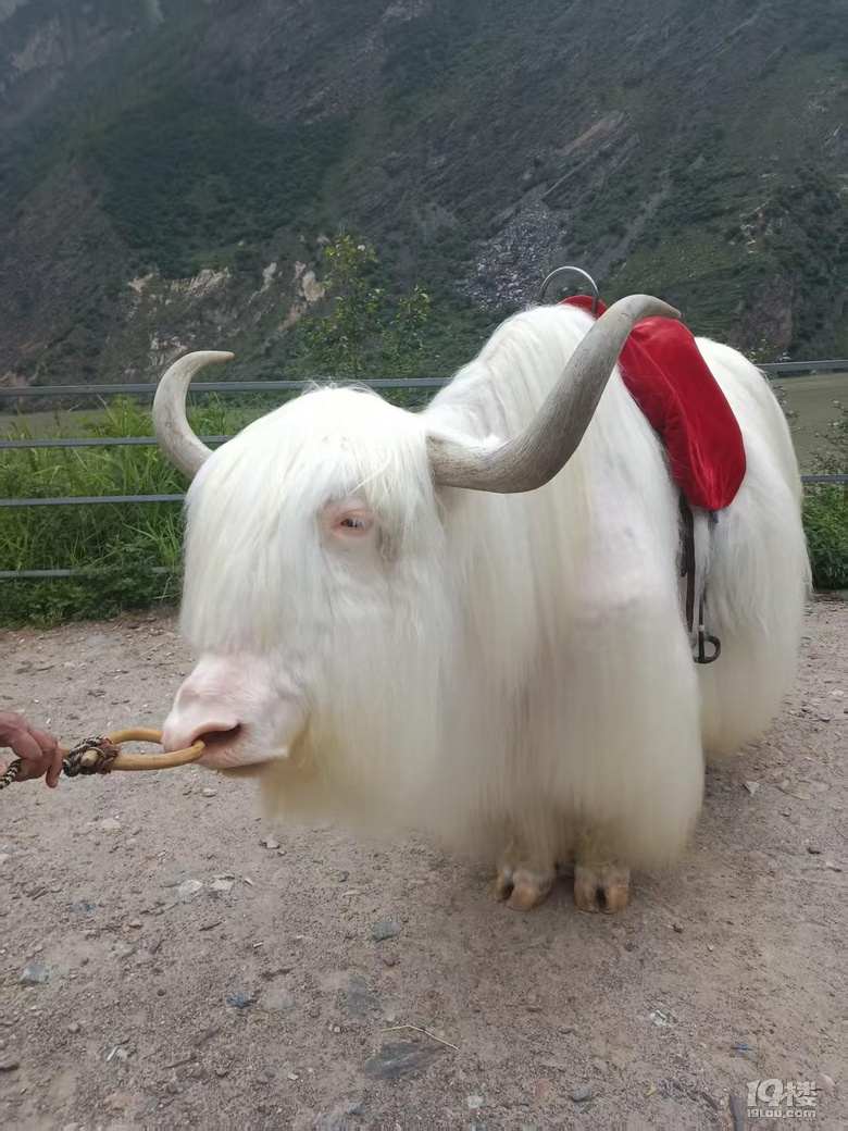 ȥկ+S+؈+ǶѵһЩýh