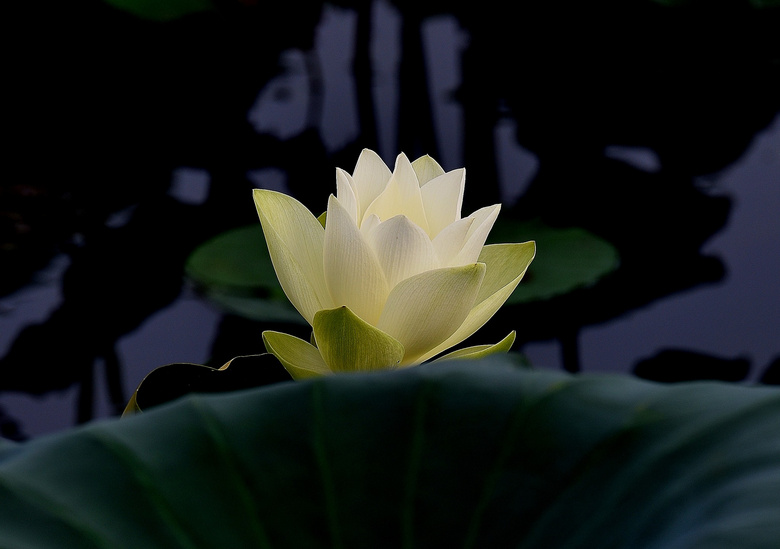 ۵ġS