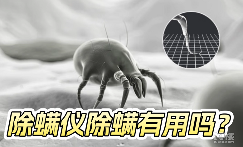 xÆԭЧһƪv͸ȿ