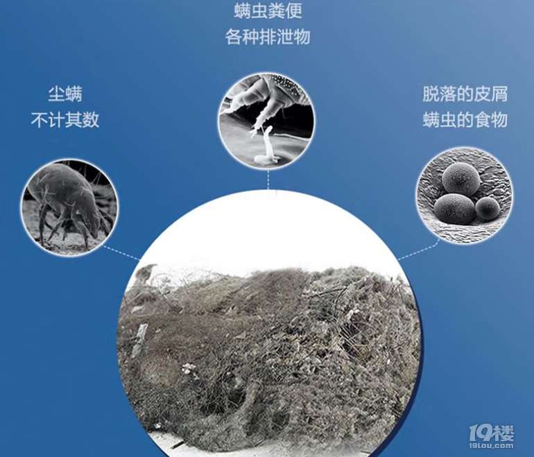 xÆ᣿ԭЧһƪv͸ȿ