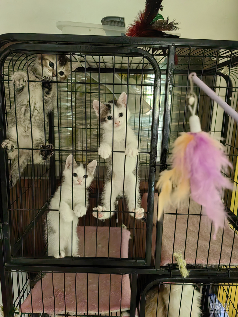 M(fi)I(lng)B(yng)С؈