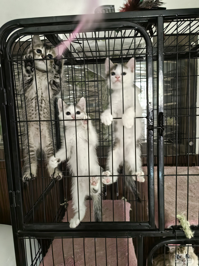 M(fi)I(lng)B(yng)С؈