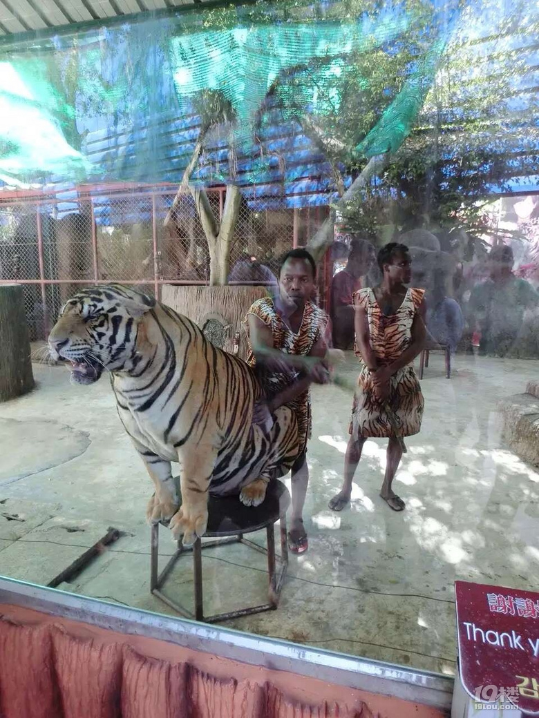 й¡ټټڰŵ