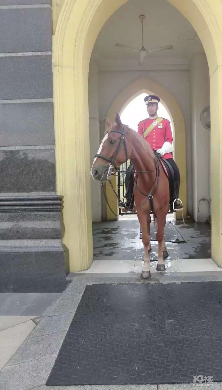 й¡87جF(xin)R̩߳