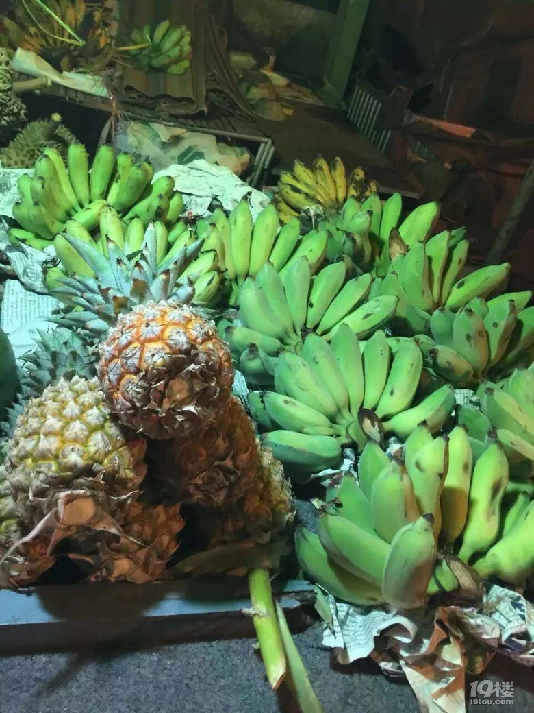 й¡87جF(xin)R̩߳