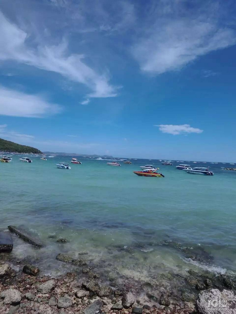 й¡87جF(xin)R̩߳