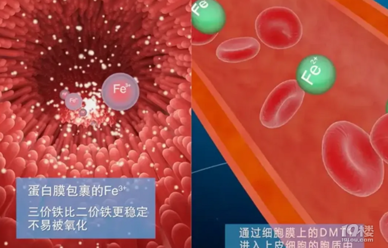 ȫaFrgһĂrgȵFЧã