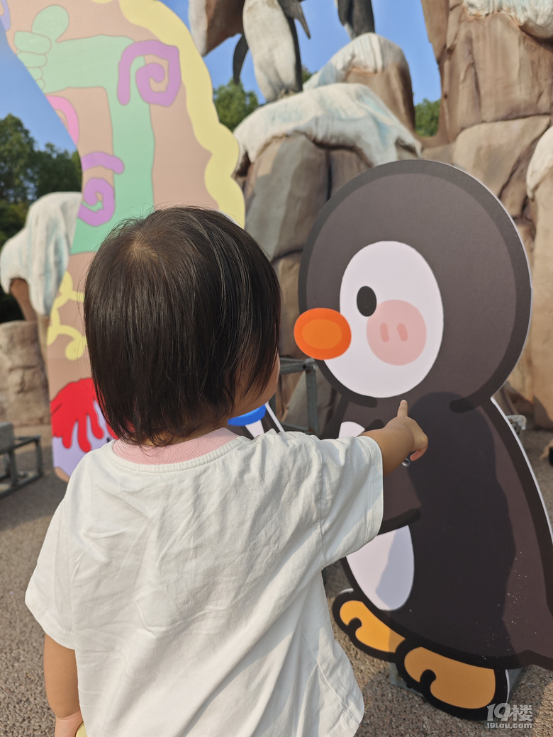 2q_L̺󹫈@