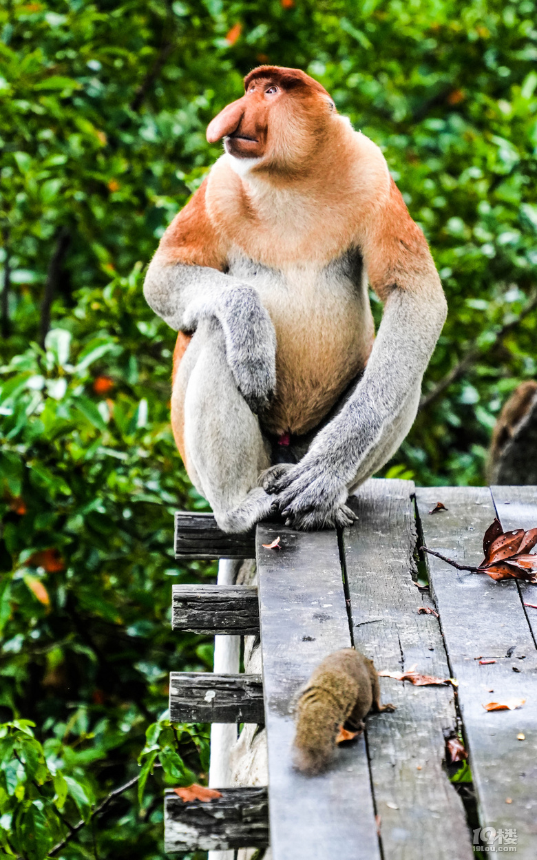 �Լ��ζ���