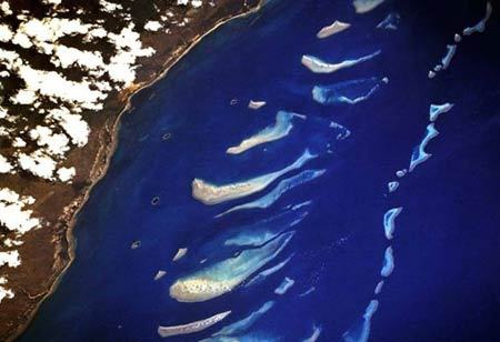 澳大利亚全球招聘守岛人 半年薪水10万美元-职