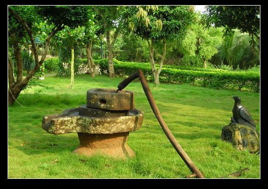 海南农家乐--澄迈县棕王园休闲农庄-休闲总动员