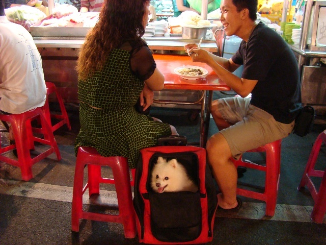  ^ţ_С 