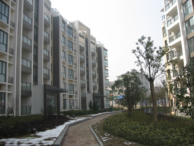 卖桐庐县城南大奇山边新小区房子一套(萧宏普