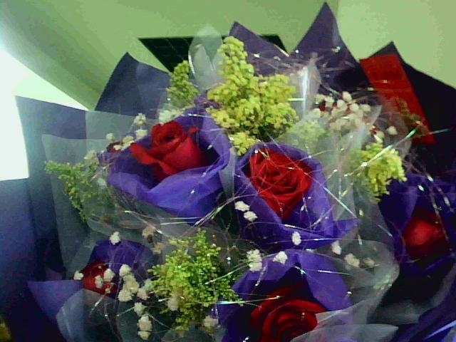 今天收到的情人节玫瑰花-我的自拍-杭州19楼