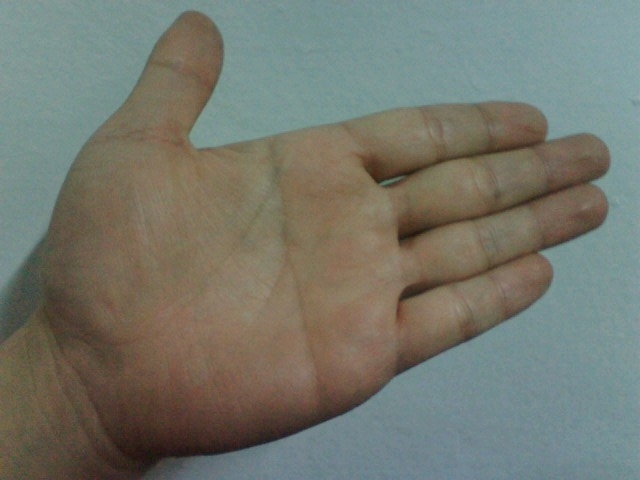 麻烦西子给看下手相,断掌啊~-飞星紫微-杭州19