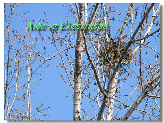 life is elsewhere-旅游先遣队-杭州19楼