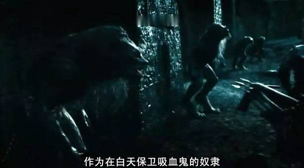 《黑夜传说3:狼族再起》缓慢开播中~完结啦!-假