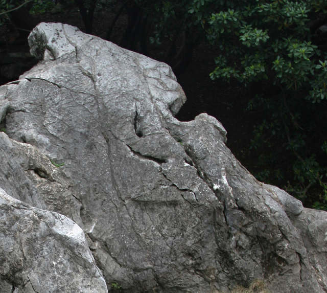 你知道12生肖石吗?-第2页-19摄区-杭州19楼