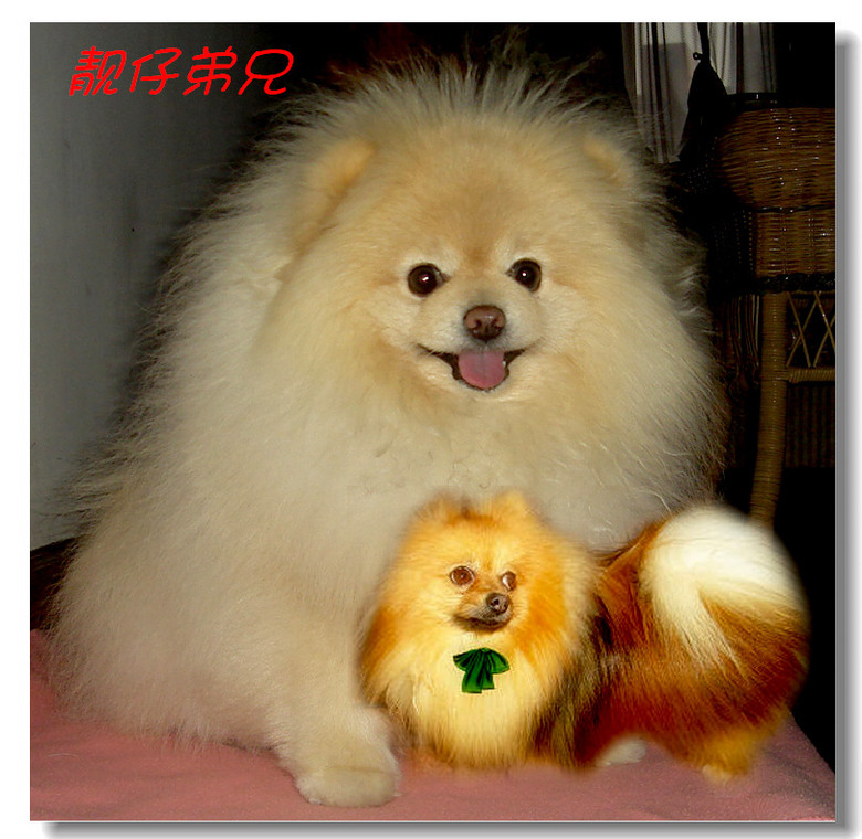 PS菜鸟教程二--用遮色片(蒙版)合成两张照片-1