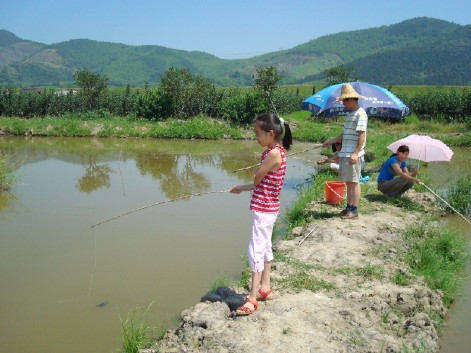 杭州周边哪里钓鱼、钓龙虾的农家乐-休闲总动