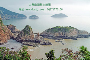 有钱人的鸡蛋!小孩孕妇产妇乳母身体虚弱者最