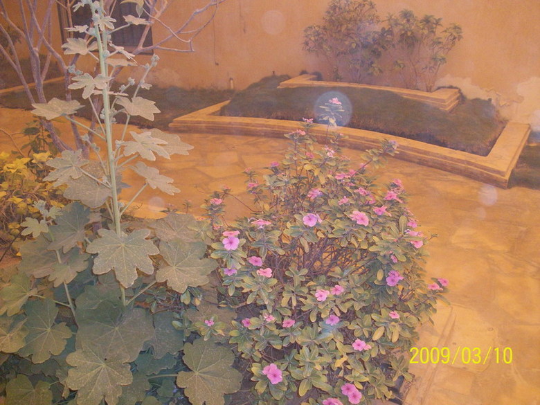 我的旅行游记-沙特阿拉伯印象(Hidden Valle探