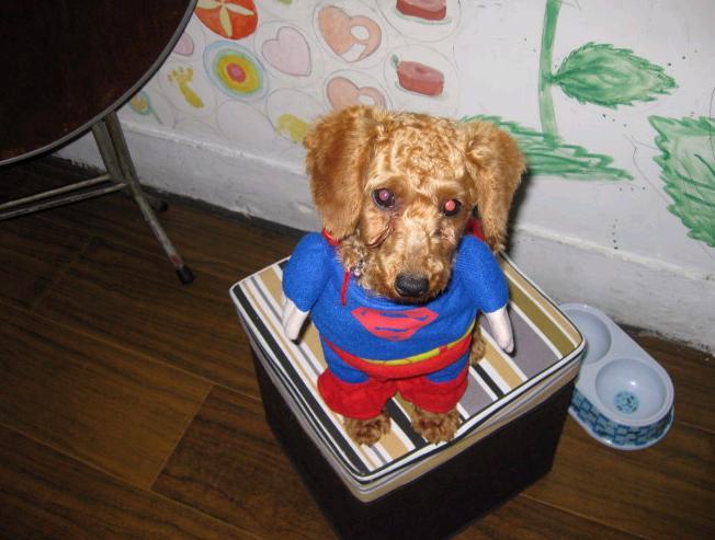 贱货到处有,我家特别多一一!-家有宠物-杭州1