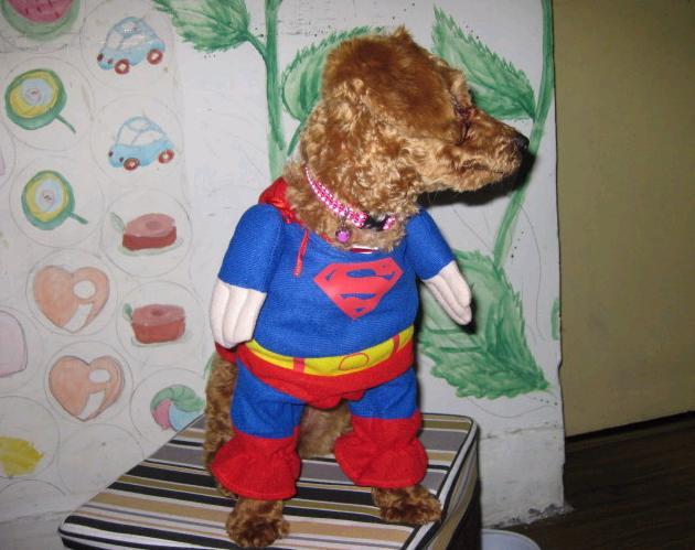 贱货到处有,我家特别多一一!-家有宠物-杭州1