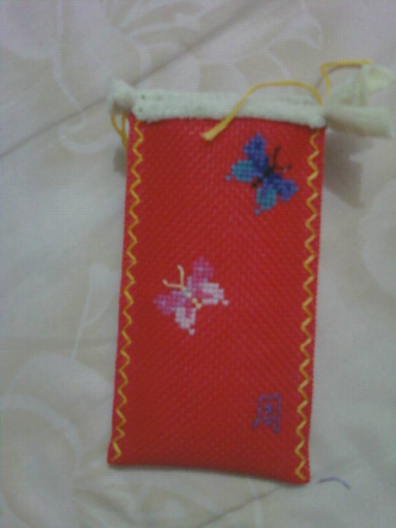 手机袋怎么做好看 middle_20090502_b77f489ce54231c56053S98zoMo6500p.jpg