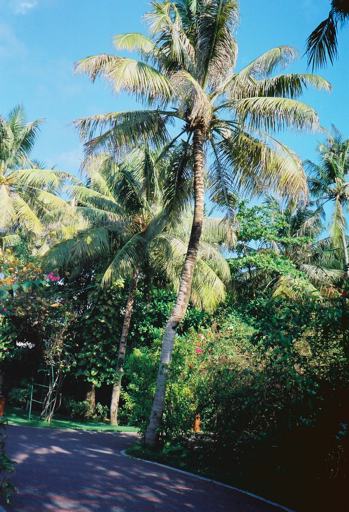 ҵӛR̫(yng)u֮(ꮅ)