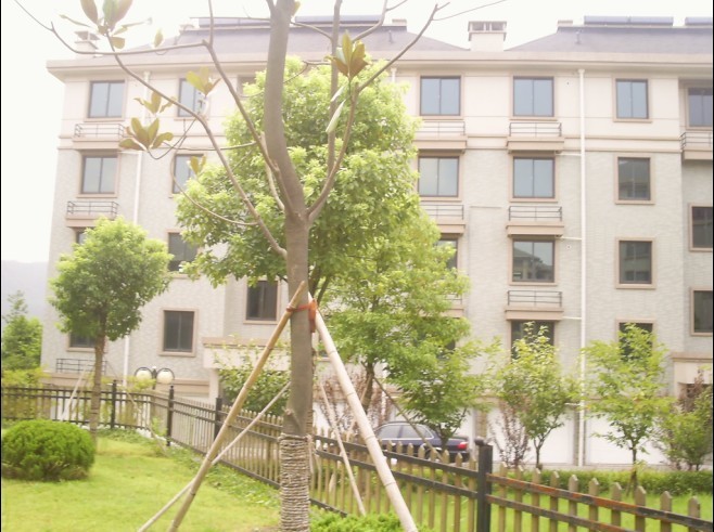 临安吴越山庄排屋-租房一族-杭州19楼