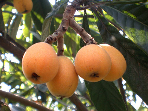 农村水泥工征婚-爱在人间天堂-杭州19楼